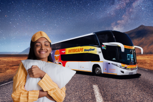 Which Bus Is The Most Luxurious In South Africa